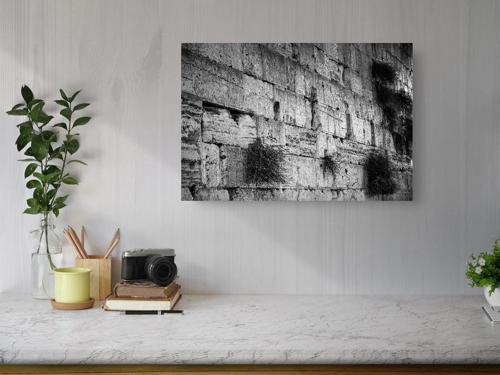 Black and White Jerusalem Kotel Wall Art by Night — Vegetation on the Western Wall with Wet Stones