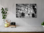 Black and White Jerusalem Kotel Wall Art by Night — Vegetation on the Western Wall with Wet Stones