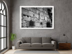 Black and White Jerusalem Kotel Wall Art by Night — Vegetation on the Western Wall with Wet Stones