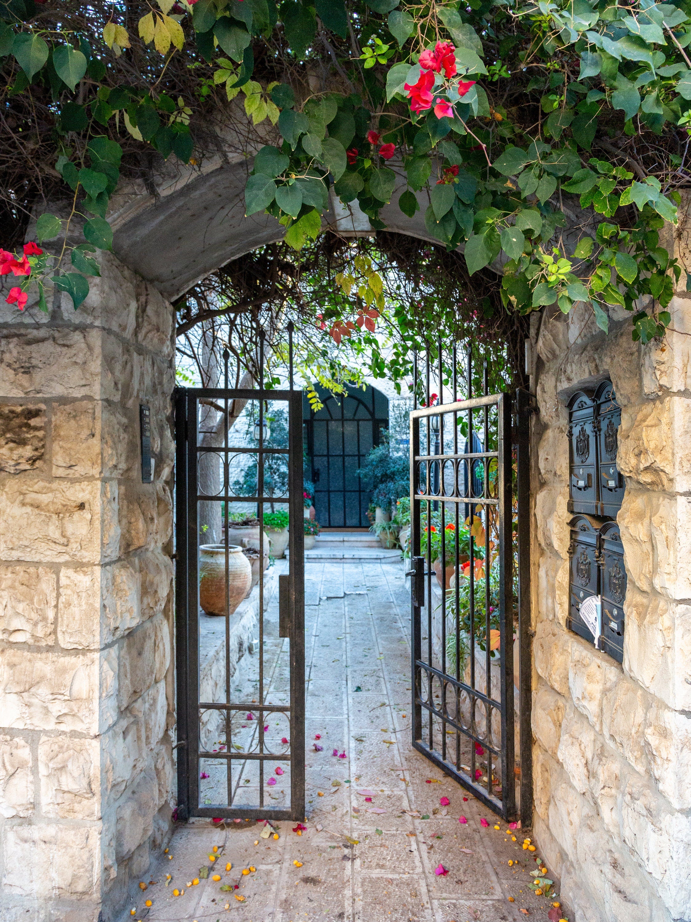 Jerusalem Garden Door Entrance with Ivy and Jerusalem stones