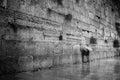 Western Wall, Jerusalem: Jewish Prayers in Rain, Black and White