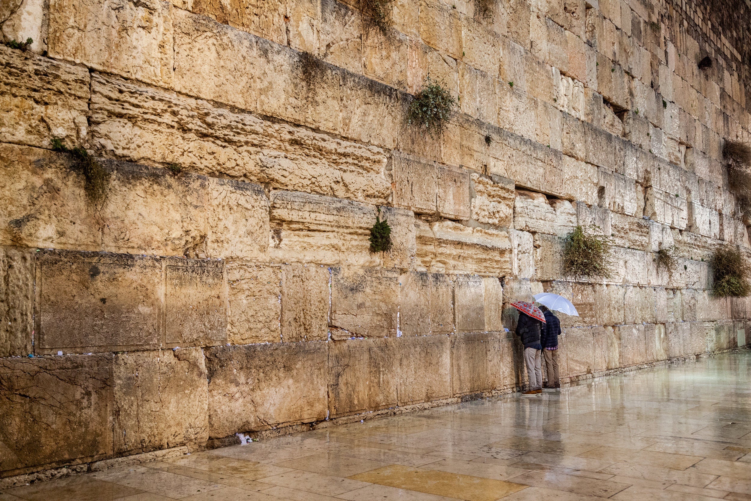 Two Prayers Alone with Umbrella at the Gold Kotel Wall Art by Night and during the Rain — Jerusalem Western Wall