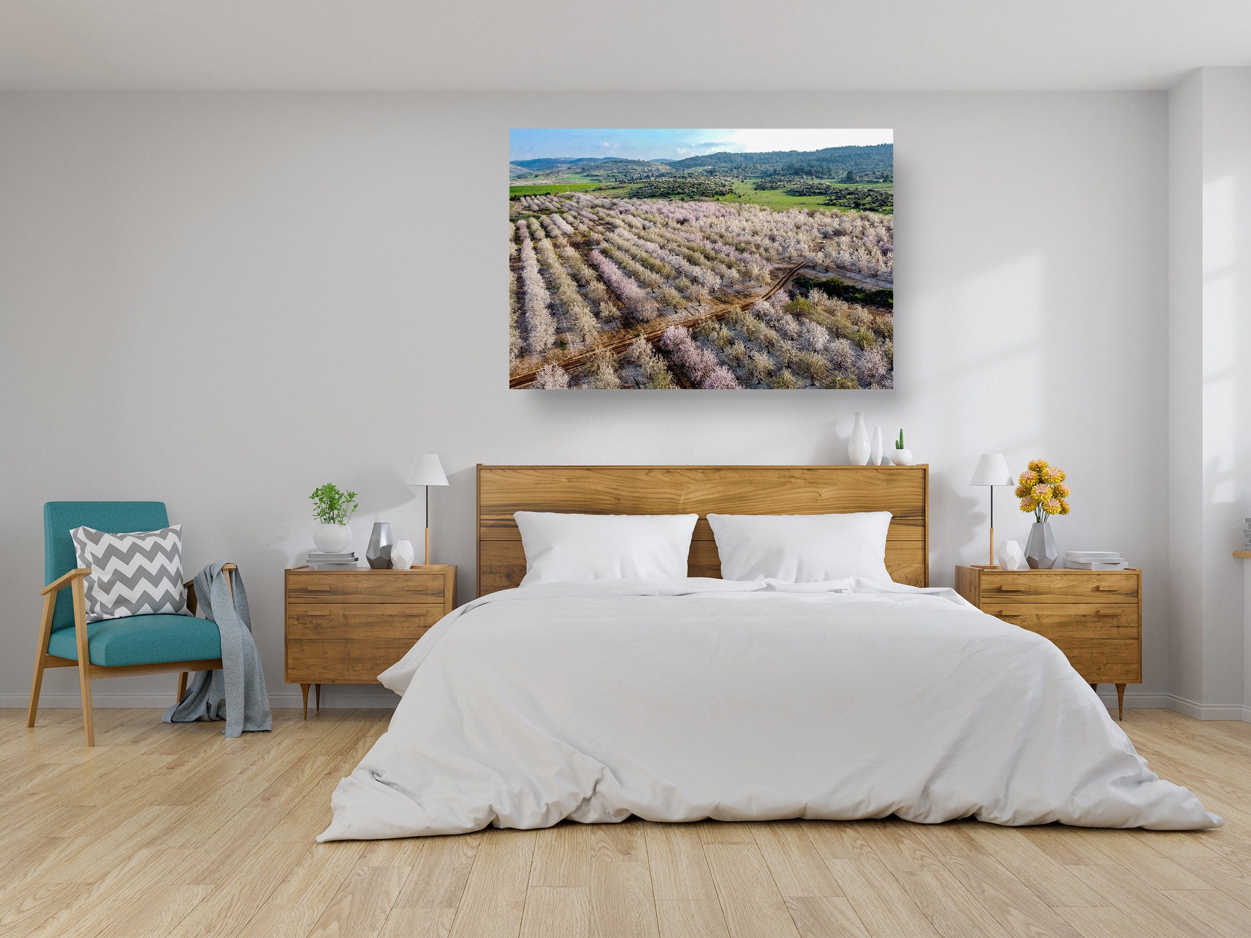 Israeli Pink White Blossom Trees Holy Land — Almond Blooming Aerial Landscape