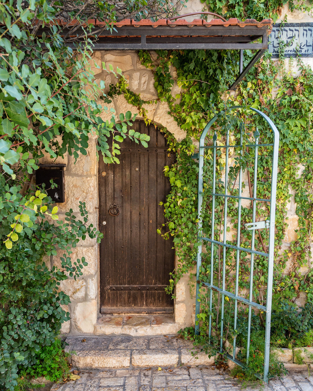 Jerusalem Vintage Brown Wooden Door with Ivy — Yamin Moshe Neighborhood