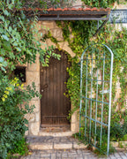 Jerusalem Vintage Brown Wooden Door with Ivy — Yamin Moshe Neighborhood