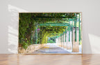 Jerusalem Green Pedestrian Street with Ivy and Flowers — German Colony Neighborhood