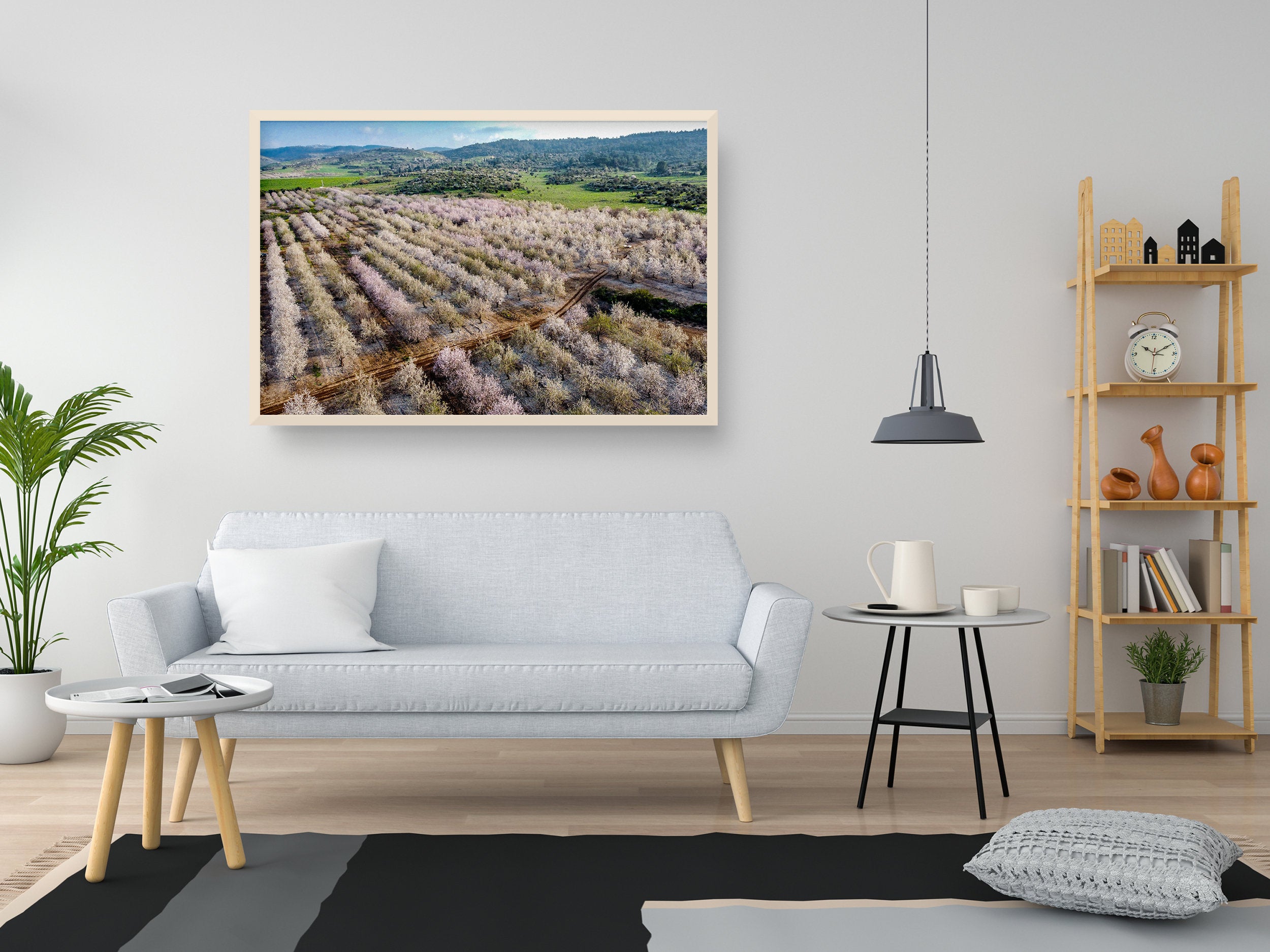 Israeli Pink White Blossom Trees Holy Land — Almond Blooming Aerial Landscape