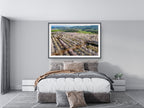 Israeli Pink White Blossom Trees Holy Land — Almond Blooming Aerial Landscape