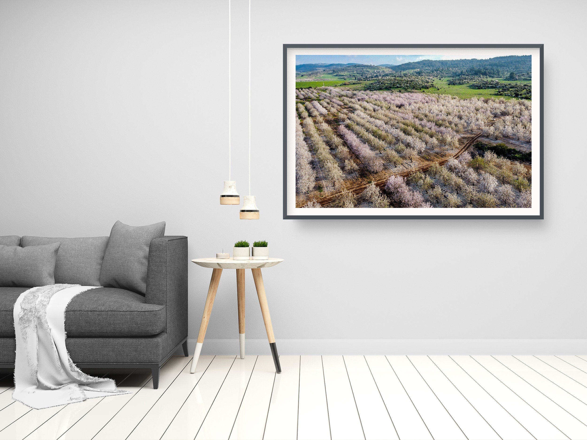 Israeli Pink White Blossom Trees Holy Land — Almond Blooming Aerial Landscape