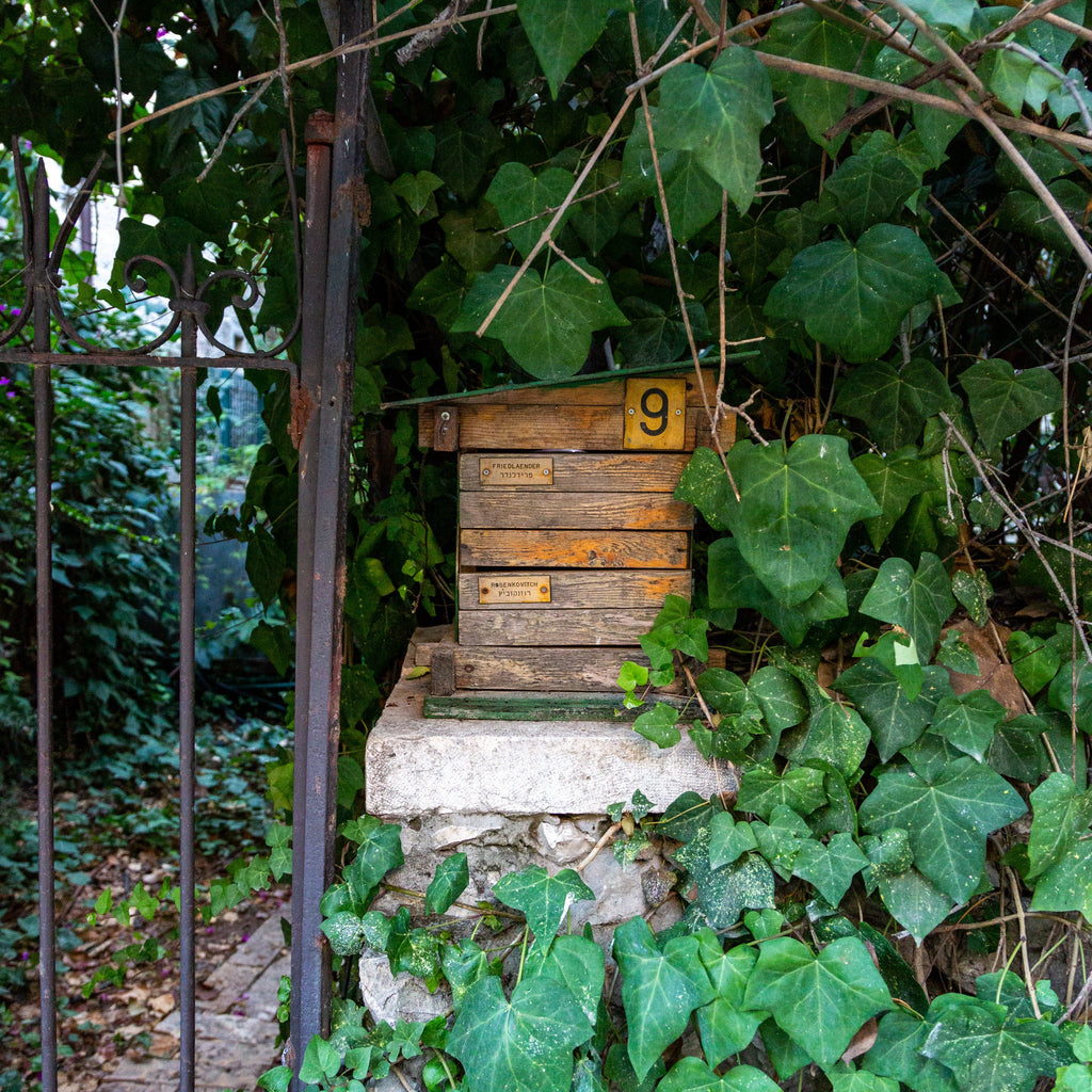 Vintage Jerusalem Old Wooden Mail Box with Green Ivy