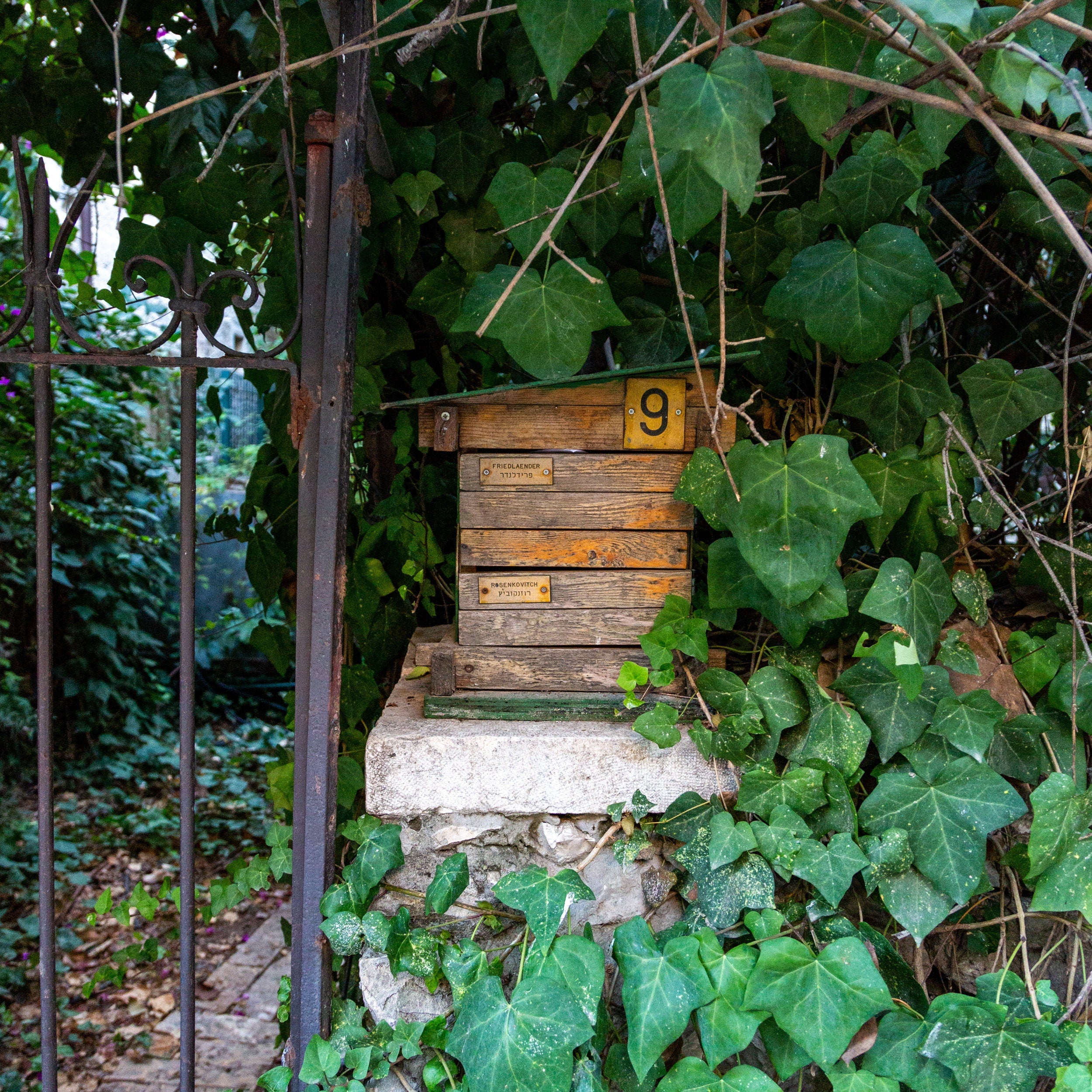 Vintage Jerusalem Old Wooden Mail Box with Green Ivy