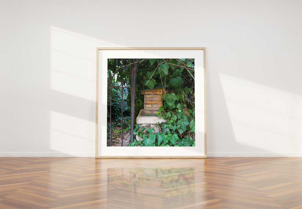 Vintage Jerusalem Old Wooden Mail Box with Green Ivy