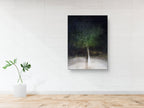 Holy Land Israeli Oak Tree Impressionist Painting by Night — The Bride & Groom