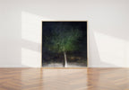 Holy Land Israeli Oak Tree Impressionist Painting by Night — The Bride & Groom