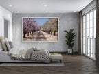 Israeli Holy Land Blooming Trees Landscape — Almond Blossom Flowers