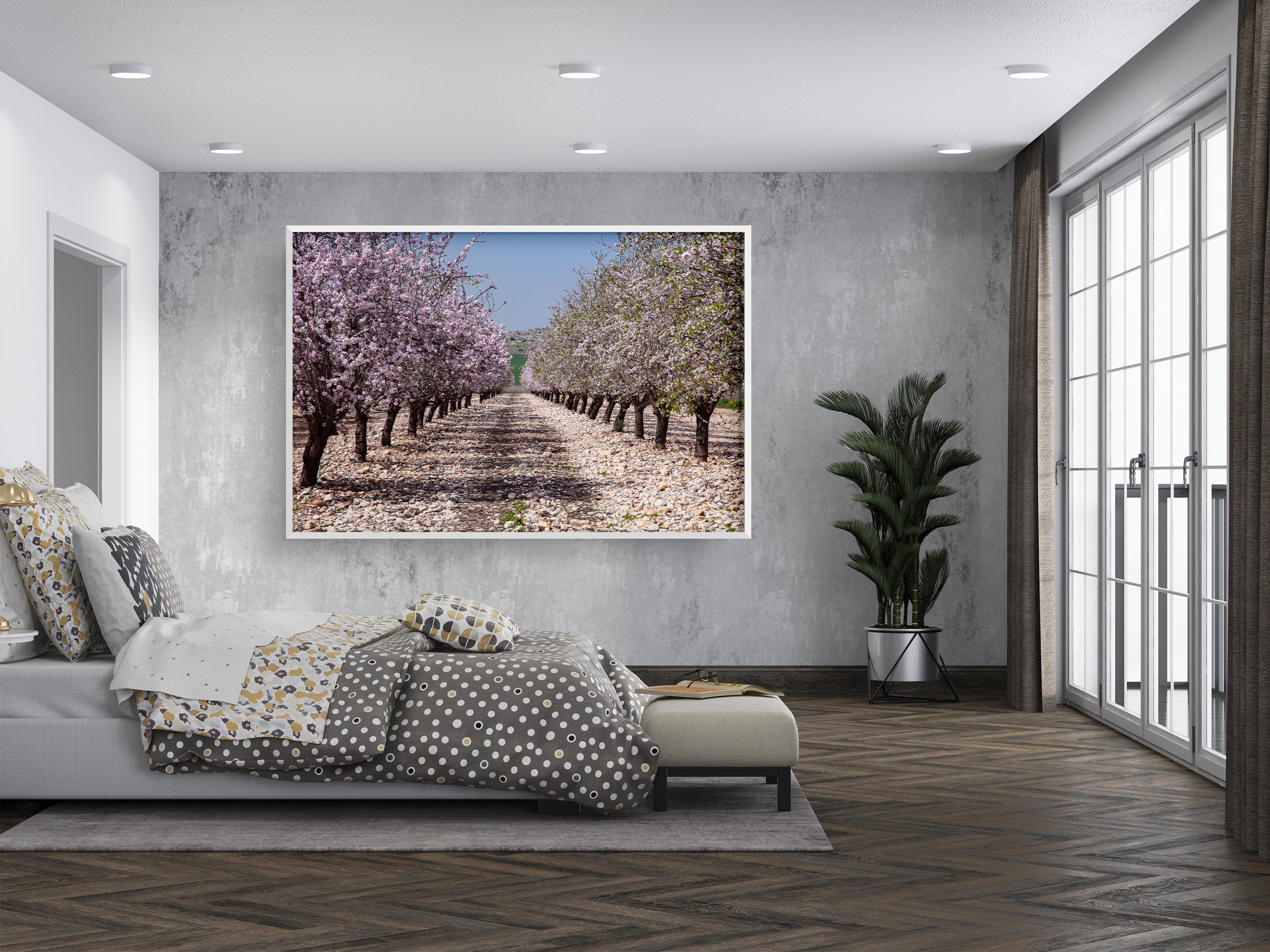 Israeli Holy Land Blooming Trees Landscape — Almond Blossom Flowers
