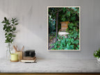 Vintage Jerusalem Old Wooden Mail Box with Green Ivy
