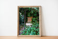 Vintage Jerusalem Old Wooden Mail Box with Green Ivy