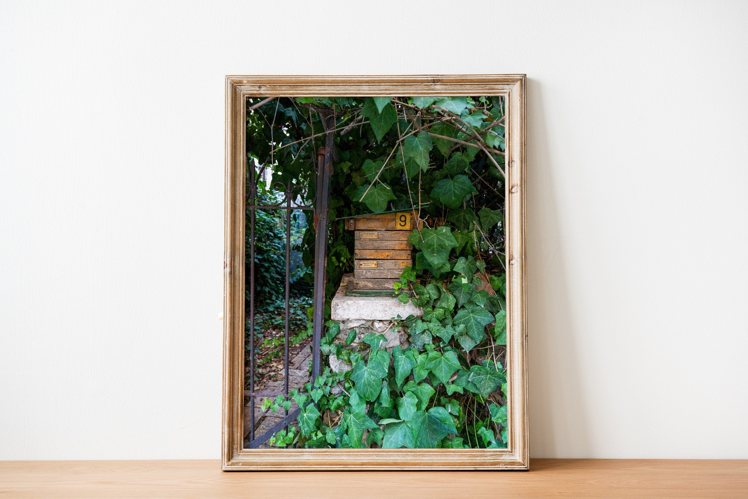 Vintage Jerusalem Old Wooden Mail Box with Green Ivy