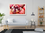 Red Fruit Pomegranate Rimon Opened — Kitchen Red