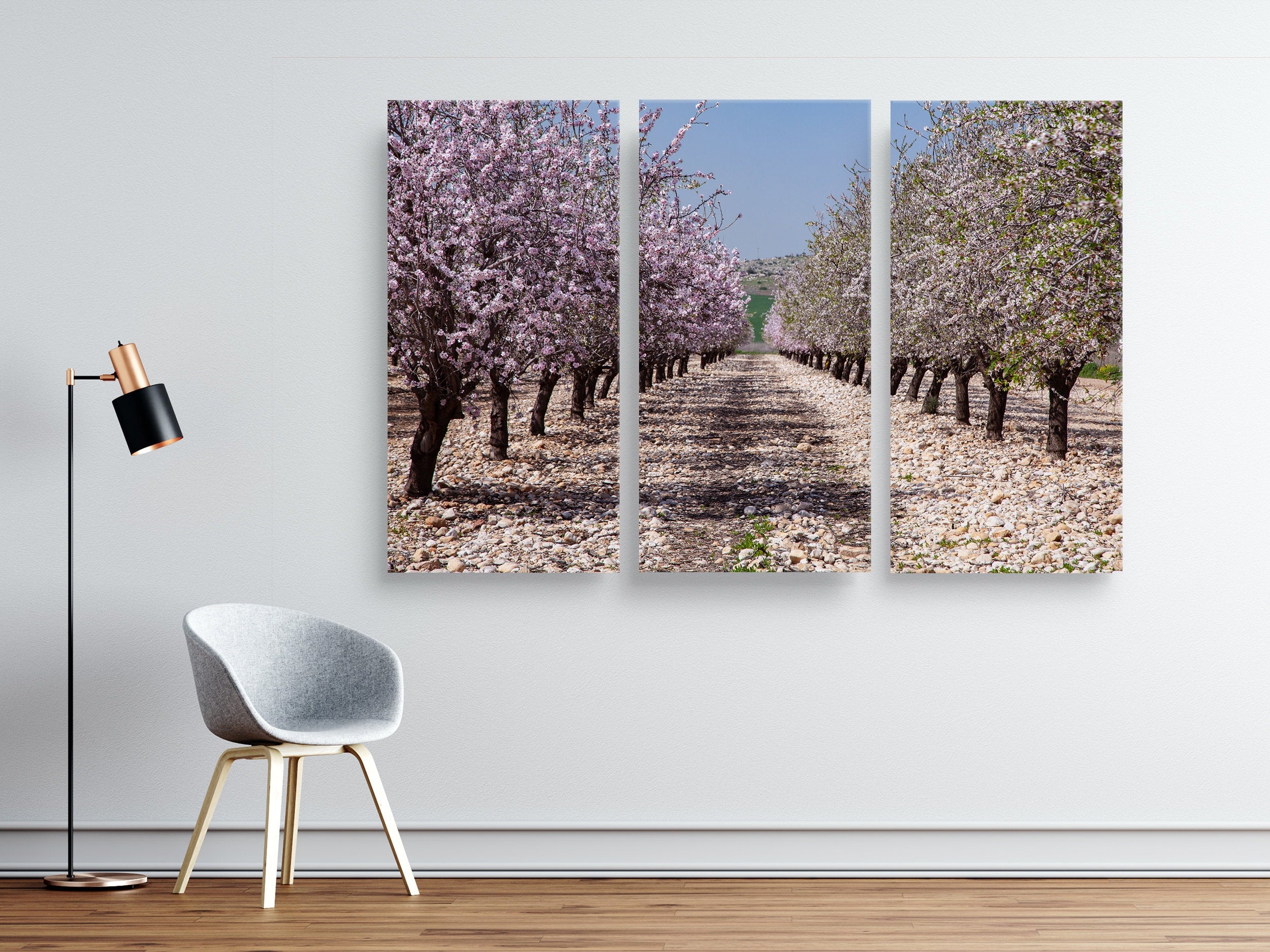 White and Pink Almond Blossom Triptych Print: Holy Land Israeli Landscape