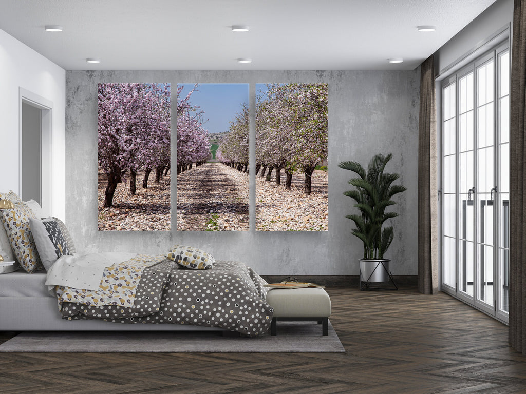 White and Pink Almond Blossom Triptych Print: Holy Land Israeli Landscape