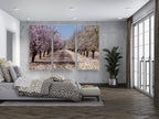 White and Pink Almond Blossom Triptych Print: Holy Land Israeli Landscape