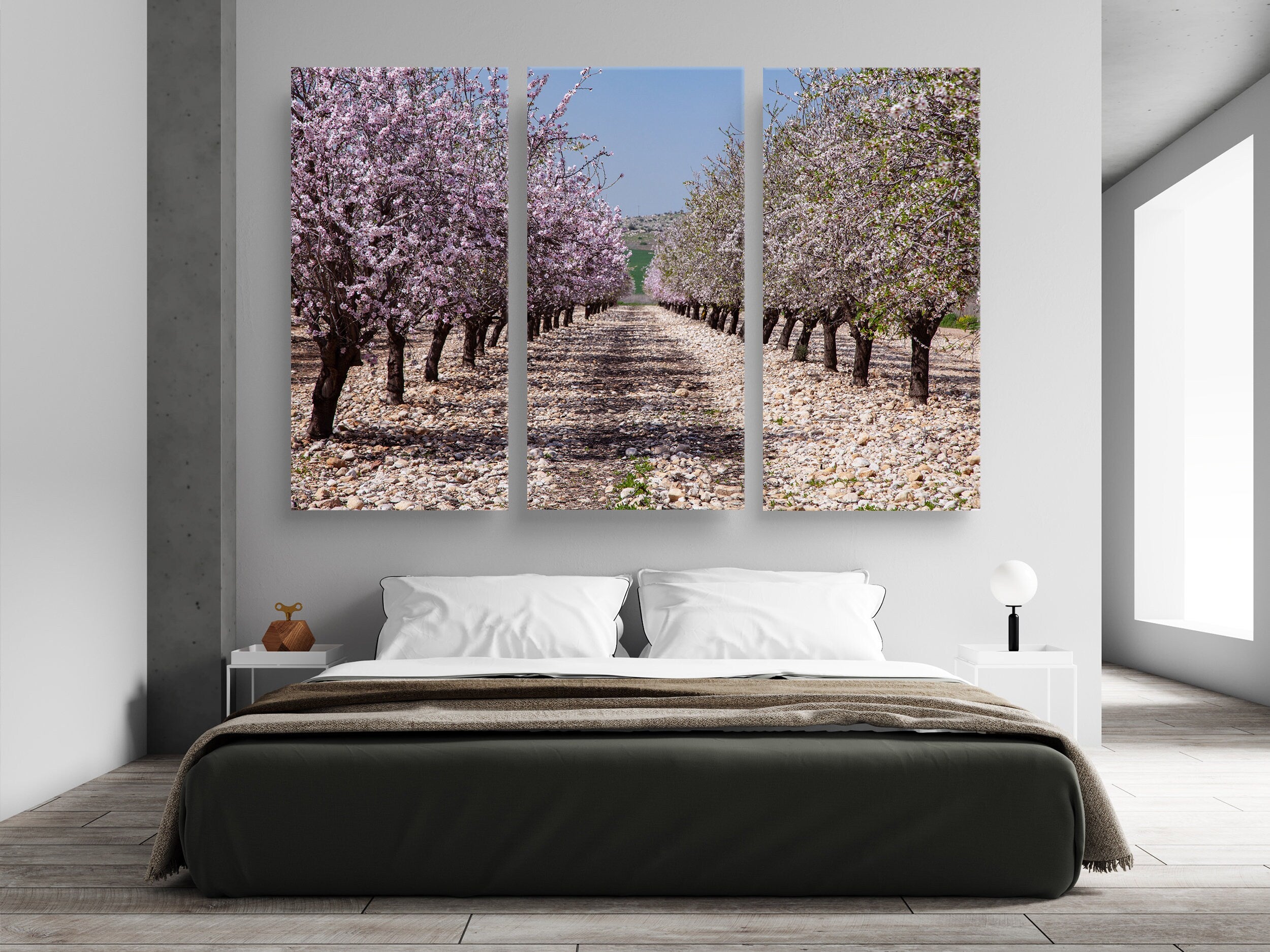 White and Pink Almond Blossom Triptych Print: Holy Land Israeli Landscape