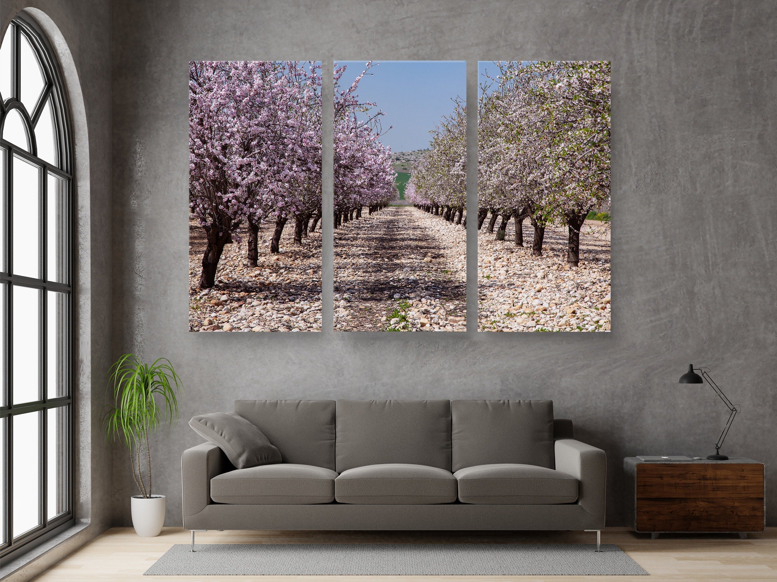 White and Pink Almond Blossom Triptych Print: Holy Land Israeli Landscape