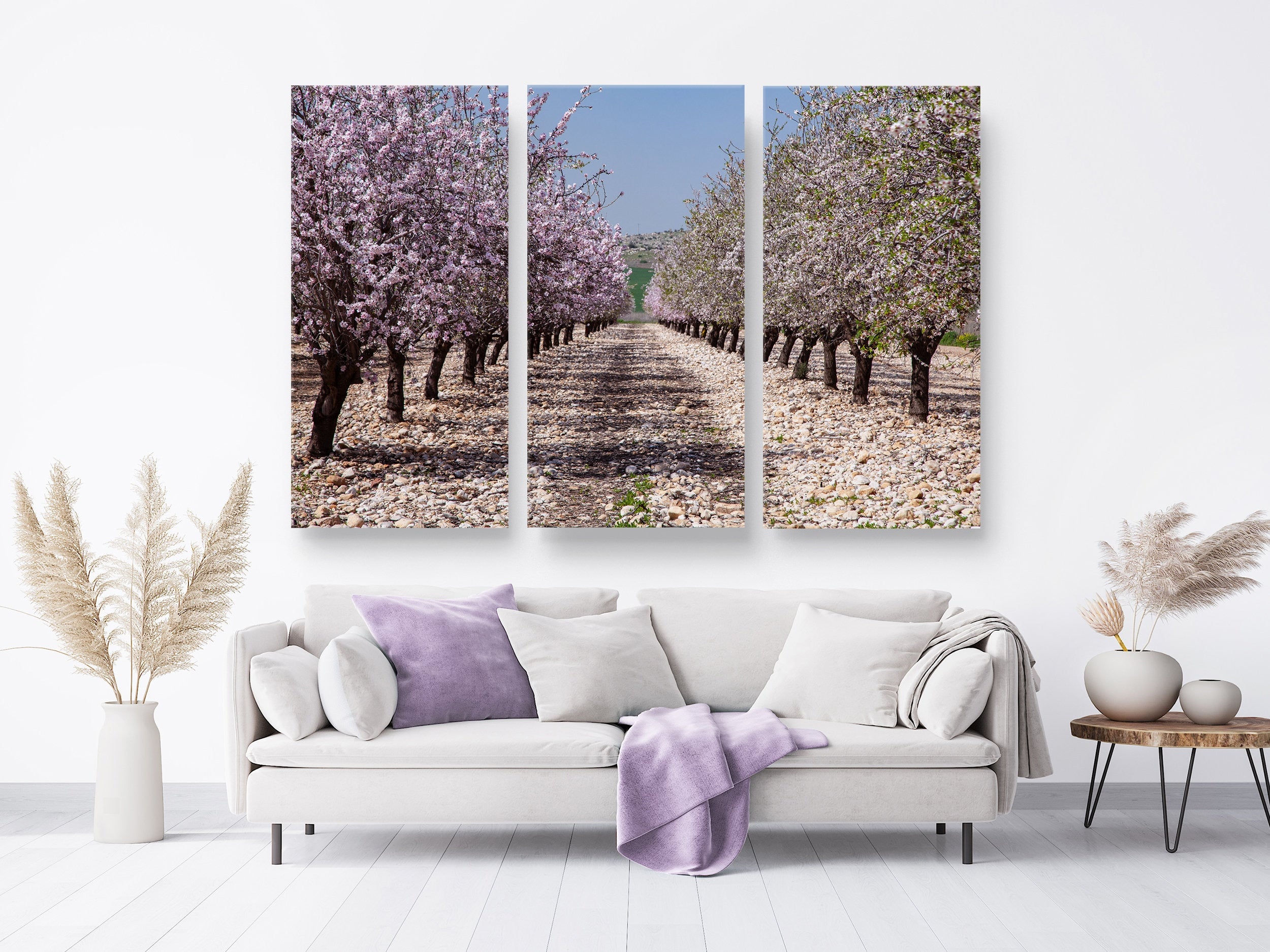 White and Pink Almond Blossom Triptych Print: Holy Land Israeli Landscape
