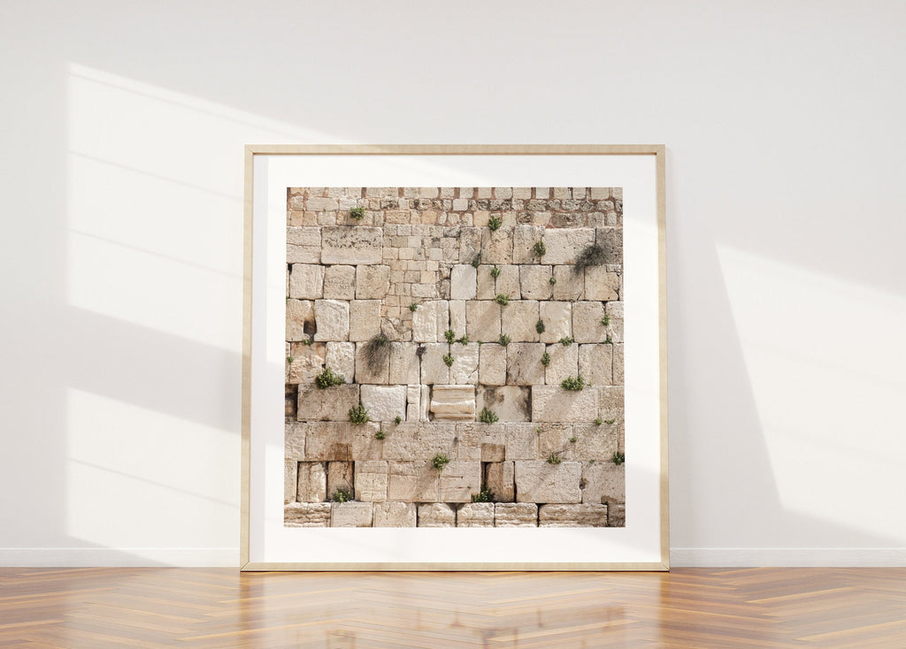 Jewish Kotel Wall Art Print - Green Vegetation on the Western Wall