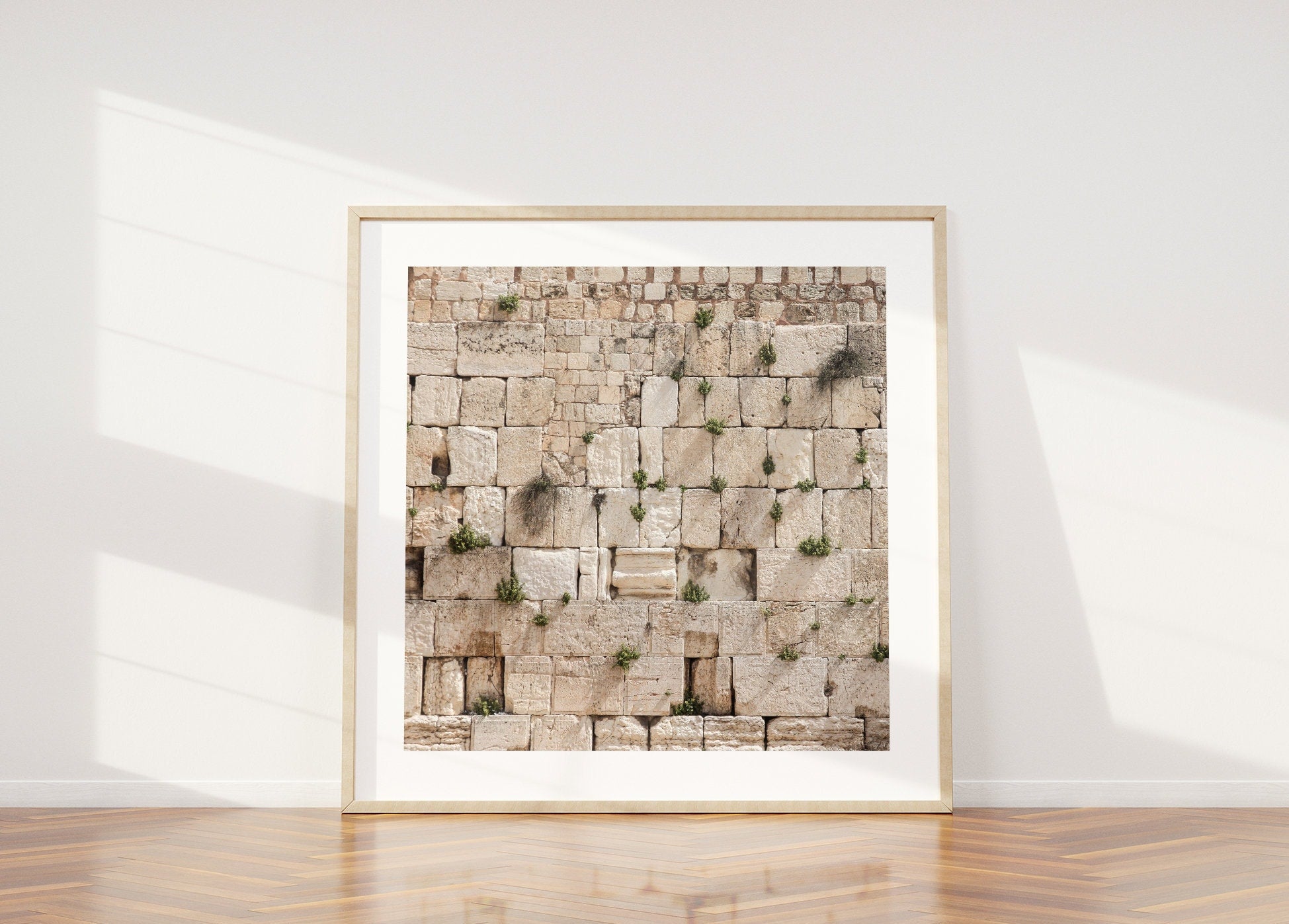 Jewish Kotel Wall Art Print - Green Vegetation on the Western Wall
