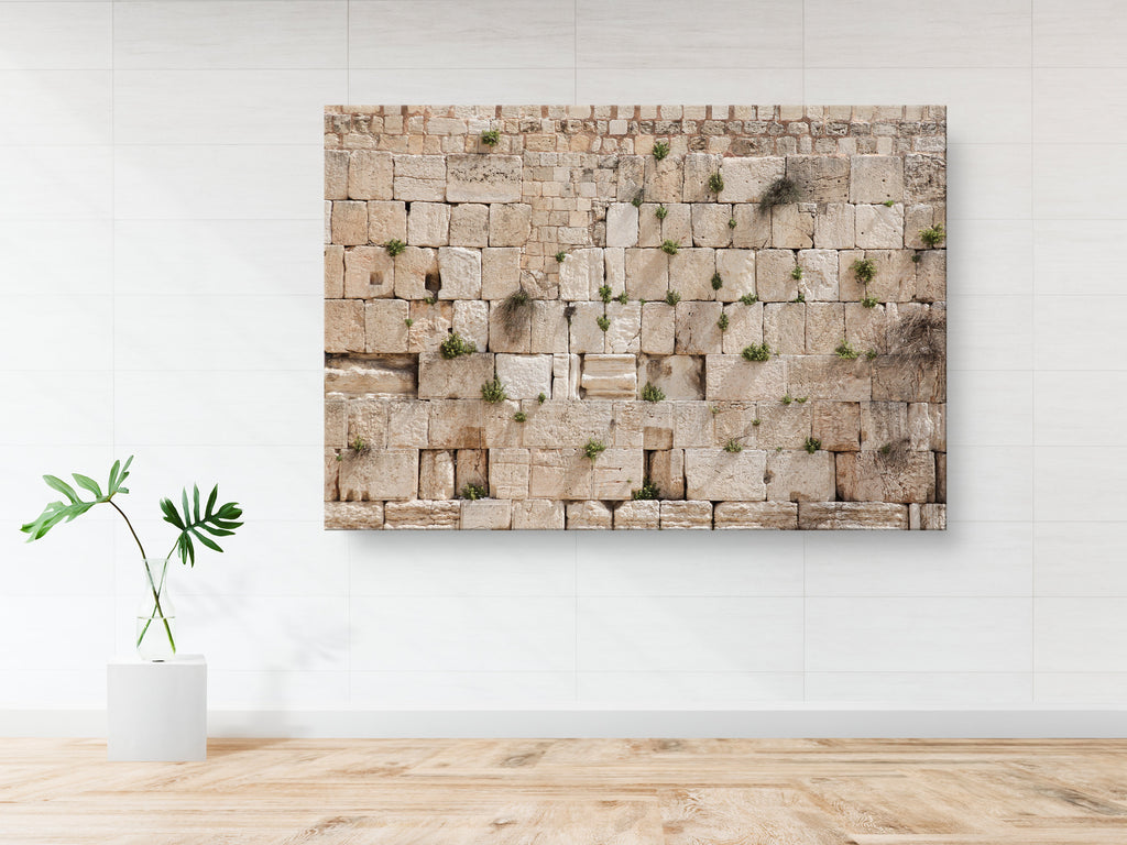 Jewish Kotel Wall Art Print - Green Vegetation on the Western Wall