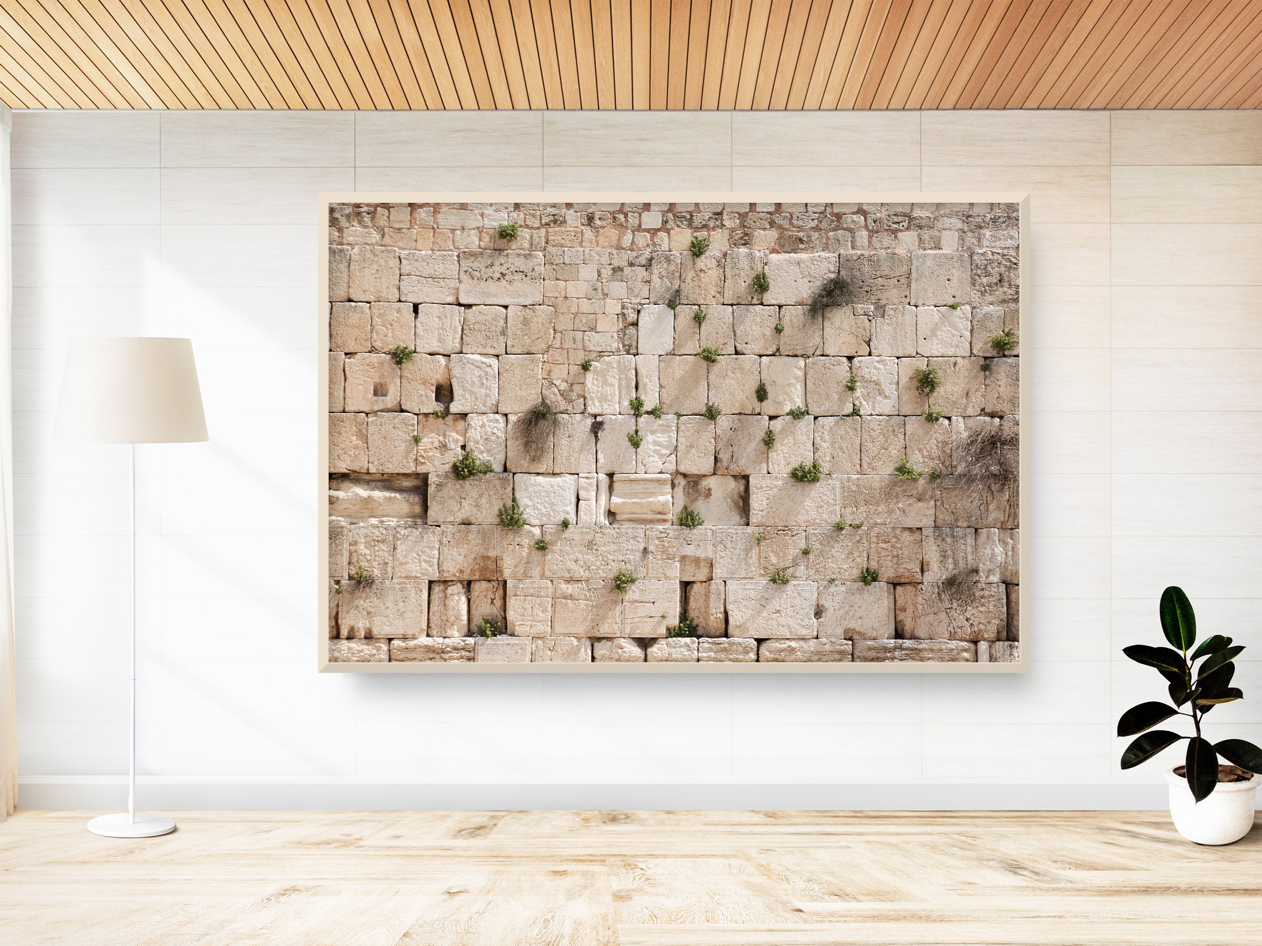 Jewish Kotel Wall Art Print - Green Vegetation on the Western Wall