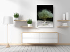 The Green Olive Tree Impressionist Painting by Night - National Tree of the Holy Land Israel - 7 Species of Israel