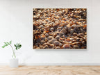 Israeli Sea Shells on Beach Photography — Holy land Seascape