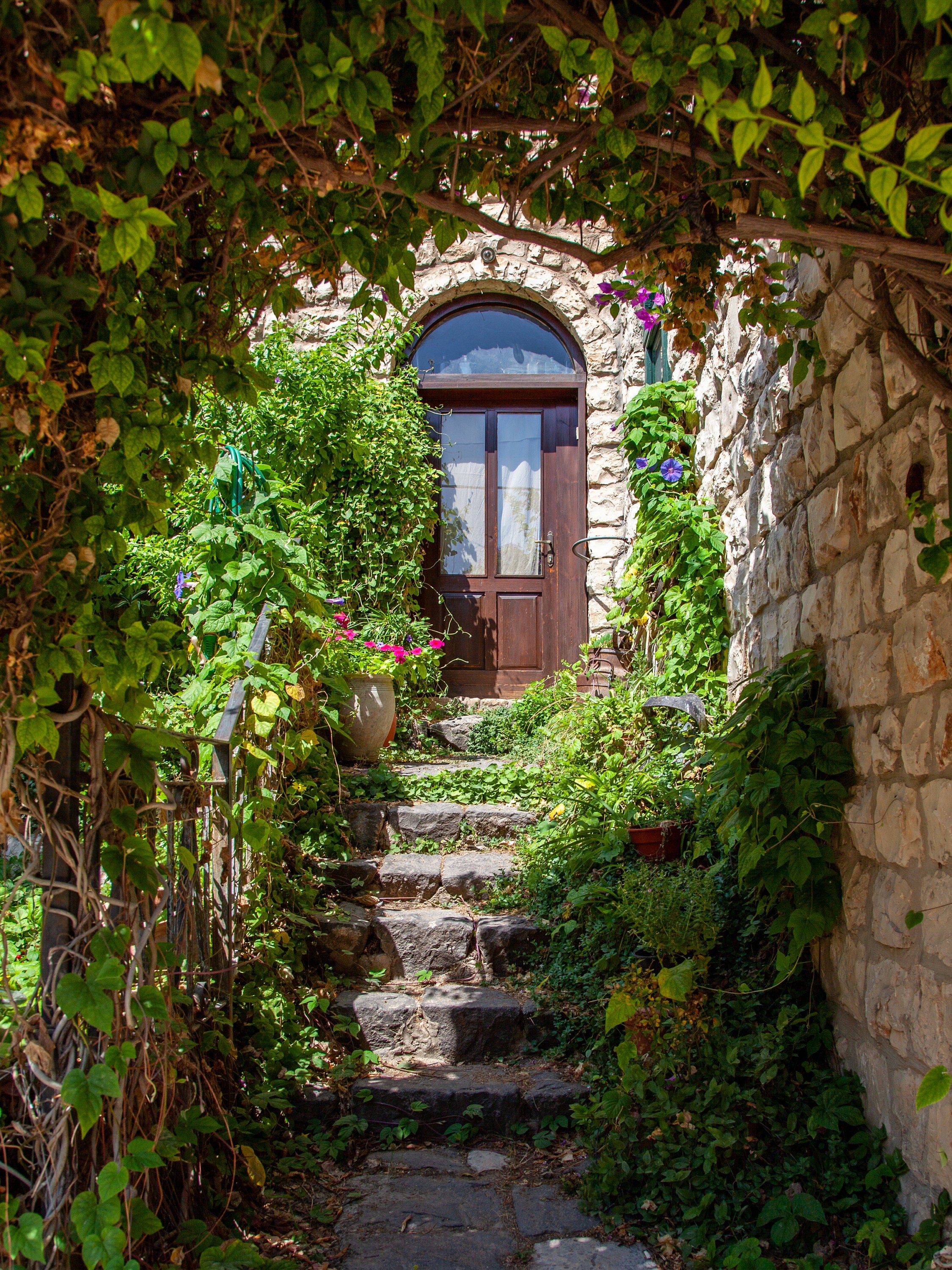 Garden Door Entrance with Flowers and Ivy — Israeli Typical House at Rosh Pina