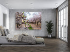 Israel Holy Land Almond Blooming Trees Landscape
