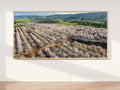 Panoramic Blooming Almond Trees Landscape — Almond Blossom Spring Trees Aerial View