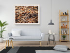Israeli Sea Shells on Beach Photography — Holy land Seascape