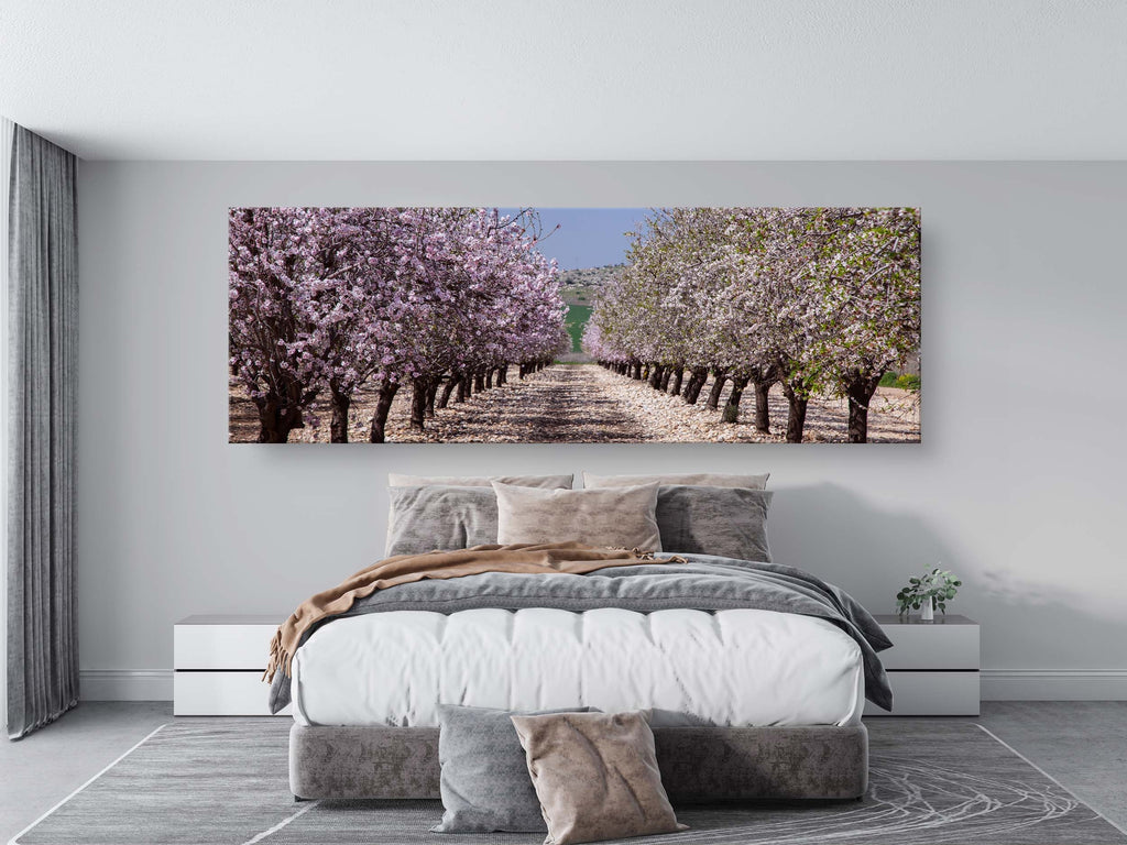 Panoramic Blossom Almond Trees Landscape — Israel Holy Land Nature