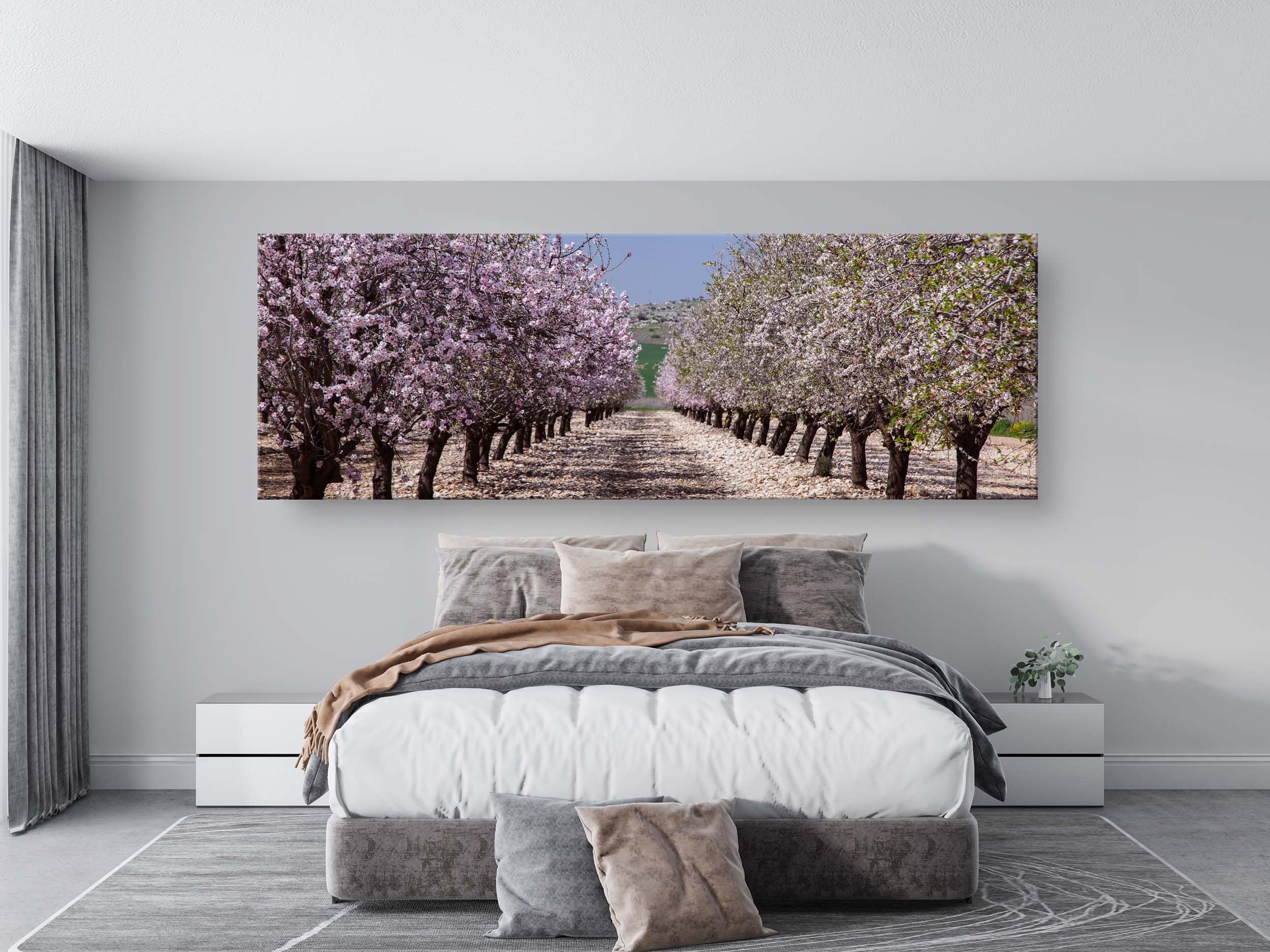 Panoramic Blossom Almond Trees Landscape — Israel Holy Land Nature