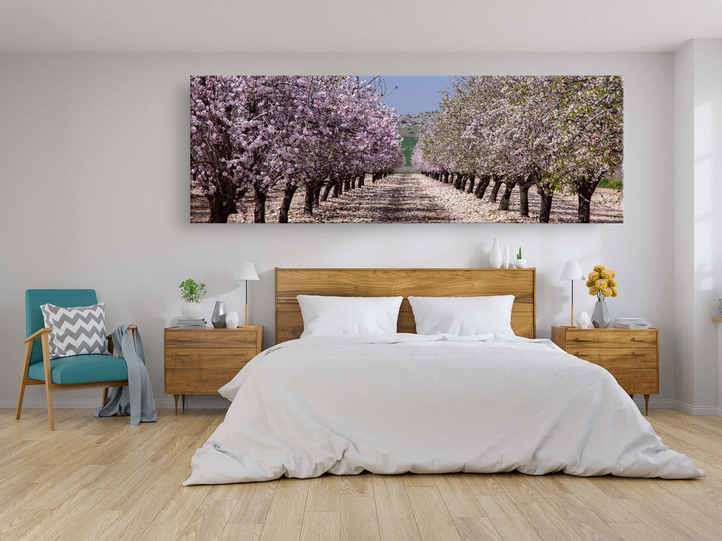 Panoramic Blossom Almond Trees Landscape — Israel Holy Land Nature