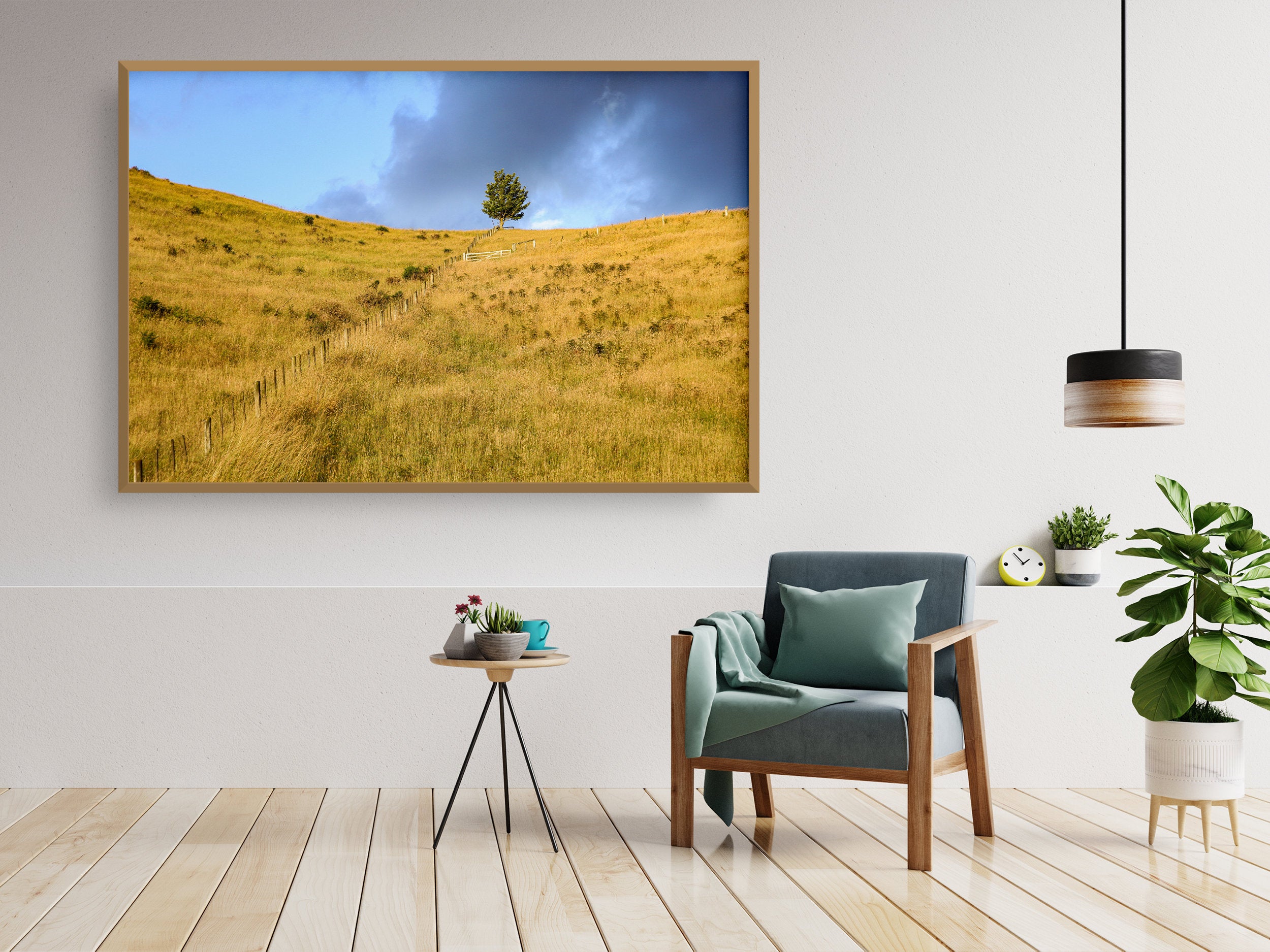 Sunset Scenery Gold Wild Field and Tree — Landscape