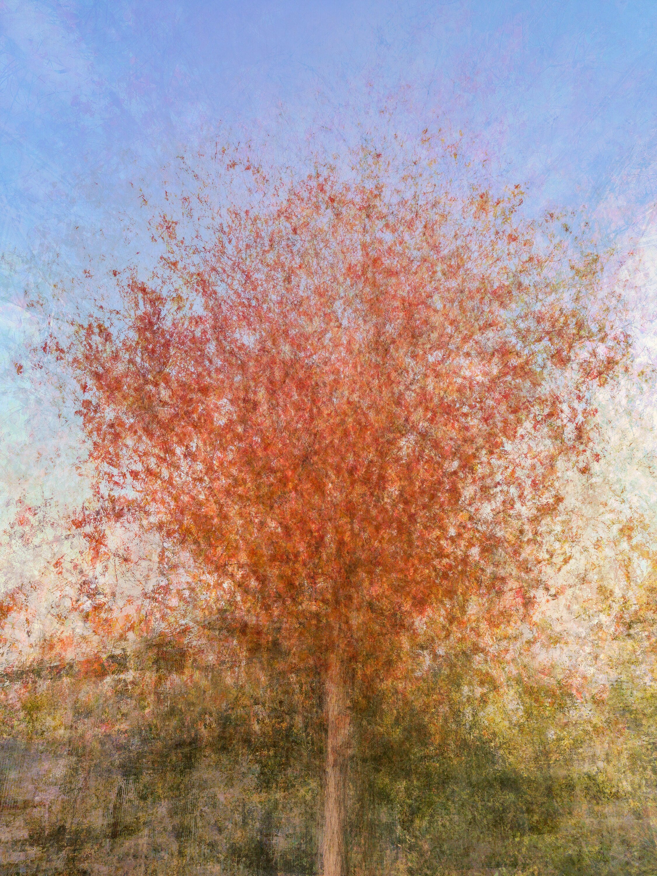 Jerusalem Red Tree Print: Israeli Autumn Impressionist Art
