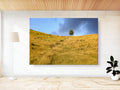 Sunset Scenery Gold Wild Field and Tree — Landscape
