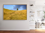 Sunset Scenery Gold Wild Field and Tree — Landscape