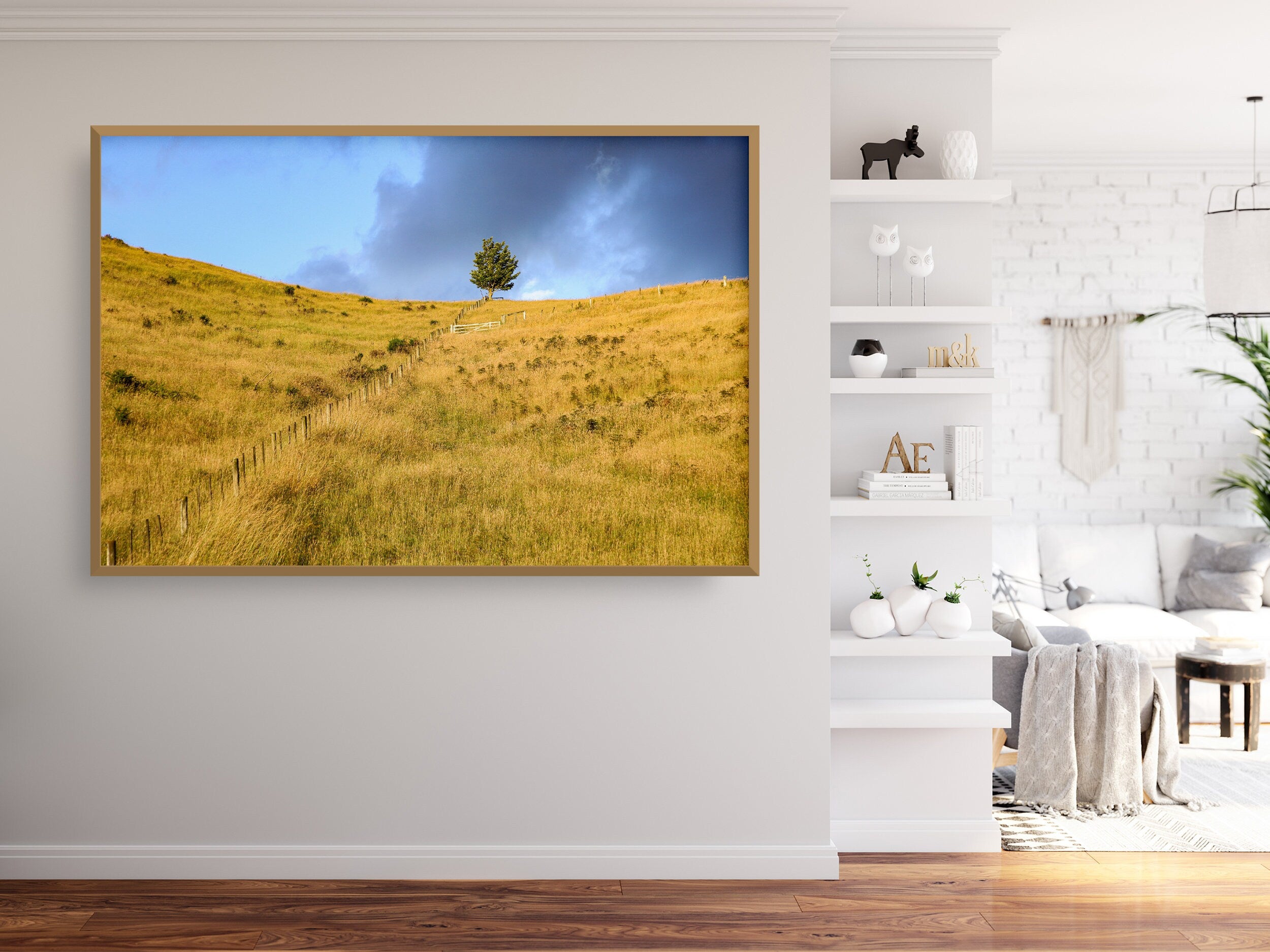 Sunset Scenery Gold Wild Field and Tree — Landscape