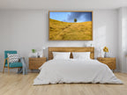Sunset Scenery Gold Wild Field and Tree — Landscape