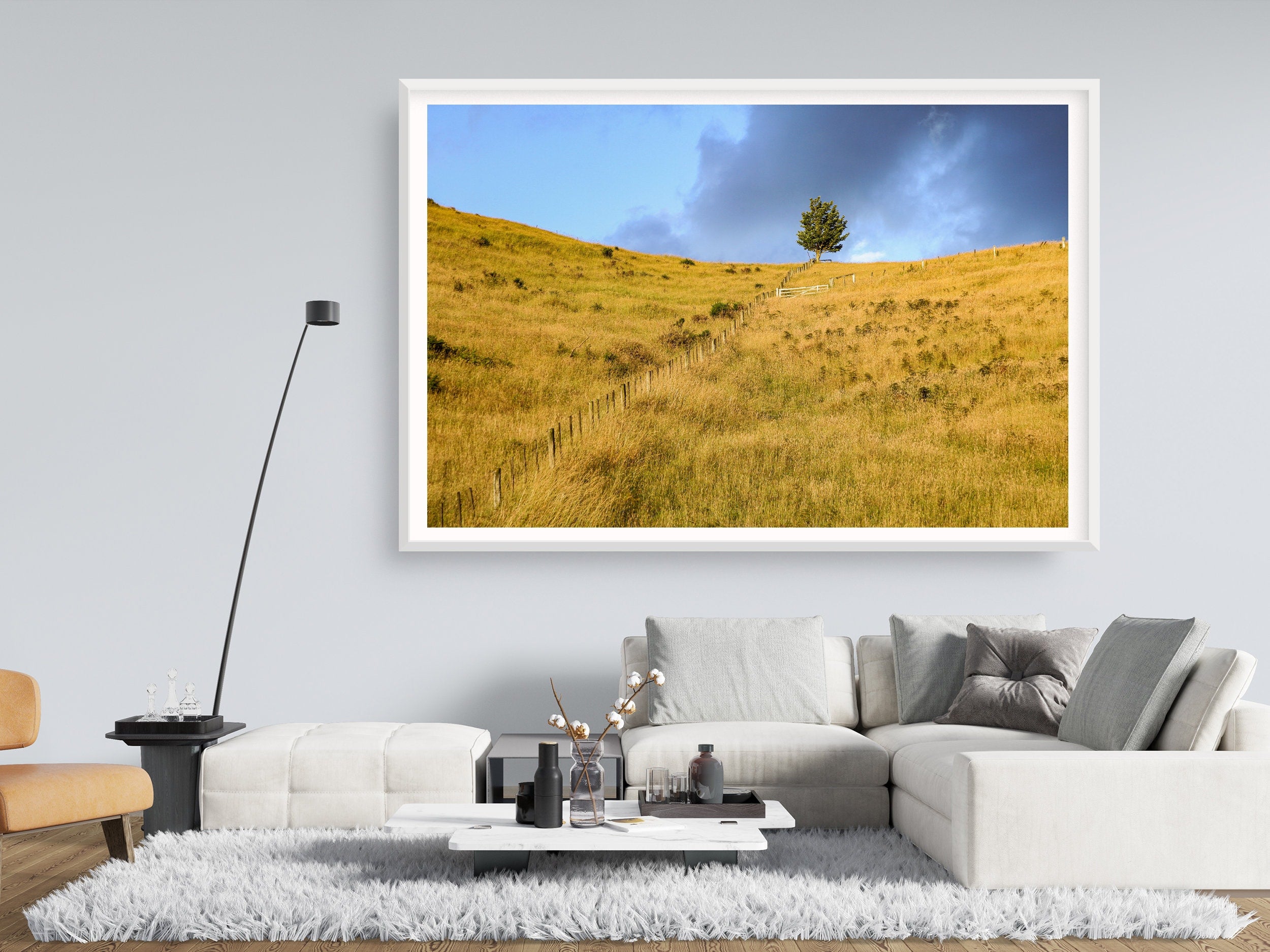 Sunset Scenery Gold Wild Field and Tree — Landscape